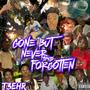 Gone But Never Forgotten (Explicit)