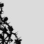 roses (feat. okashe) [Explicit]