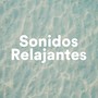 Sonidos Relajantes - Música Relajante Instrumental New Age