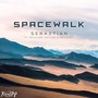 Spacewalk