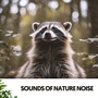 Sounds of Nature Noise: Serenity Waves