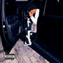 Secreto (Explicit)