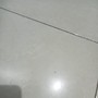 masih kamu