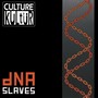 DNA Slaves