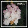 Tiny Galaxy