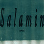 Salamin