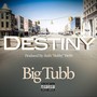 Destiny (Explicit)