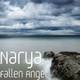 Fallen Angel