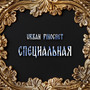 Специальная (Explicit)