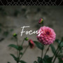 Focus