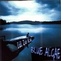 Blue Algae