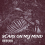 Scars on My Mind