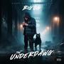 The UnderDawg (Explicit)