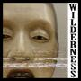 Wilderness (feat. JSTV Noh)