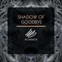 SHADOW  OF GOODBYE