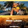 Real Little Havana (Special Version)