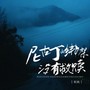 尼古丁的绑架没有救赎