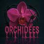 ORCHIDÉES (feat. CRBR & Akxl) [Explicit]