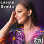 Zaj
