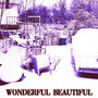 Wonderful Beautiful (Explicit)