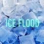 ICE Flood (Explicit)