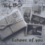 Echoes of You