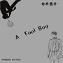 A Fool Boy