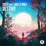 Destiny (feat. Luks & Wolf)