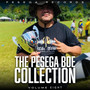 The Pesega Collection Vol. 8