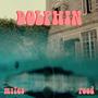 Dolphin (Explicit)