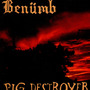 Benümb / Pig Destroyer