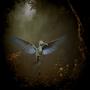 Luneddas Bird