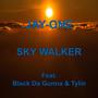 Sky Walker (Explicit)