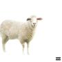 sheep (Explicit)