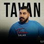 Tavan