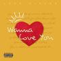 Wanna Love You (Explicit)