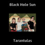 Black Hole Sun