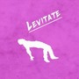 Levitate (feat. John Luis)