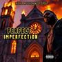 Perfect Imperfection (Explicit)