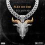 Flex On Em! (Explicit)