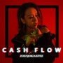 CASH FLOW（现金流）