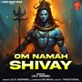 Om Namah Shivay