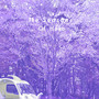 THE SEASONS OF HOKO