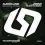 Audioklinik (Lost control remixes)
