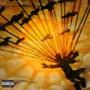 The Pidgeon Man (Explicit)