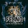 Felino