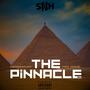 The Pinnacle (feat. D Breezy Muzic & Maxi Payne) [Explicit]