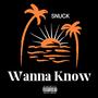 Wanna Know (Explicit)