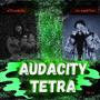 Audacity Tetra