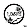 PLEASURE (feat. Souma)